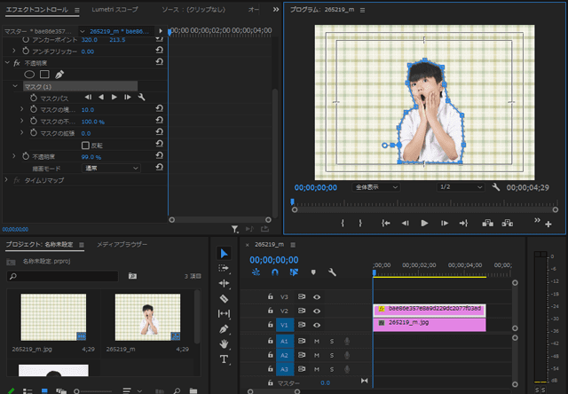 編集の腕を上げるマスクのかけ方Premiere Pro  ぶいろぐ